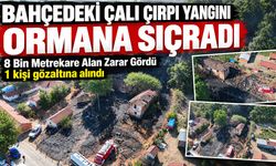 Bahçedeki Çalı Çırpı Yangını Ormana Sıçradı: 8 Bin Metrekare Alan Zarar Gördü