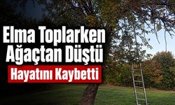 Bilecik’te Elma Toplarken Ağaçtan Düştü, Hayatını Kaybetti