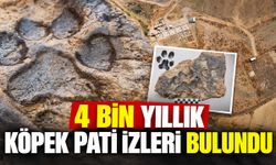 4 bin yıllık köpek pati izleri bulundu