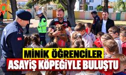 Minik Öğrenciler Asayiş Köpeğiyle Buluştu