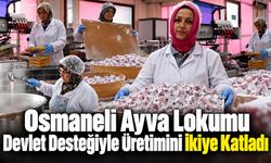 Osmaneli ayva lokumu devlet desteğiyle üretimini ikiye katladı