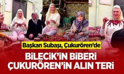 Bilecik’in biberi, Çukurören’in alın teri