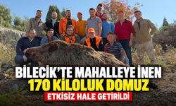 Bilecik'te mahalleye inen 170 kiloluk domuz etkisiz hale getirildi