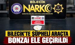 Bilecik'te Şüpheli Araçta Bonzai Ele Geçirildi