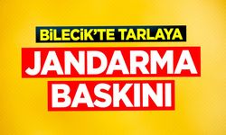 Bilecik'te tarlaya jandarma baskını