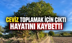 Bilecik'te Ceviz toplamak için çıktı, hayatını kaybetti