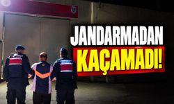 Aranan Hükümlü Jandarmadan Kaçamadı