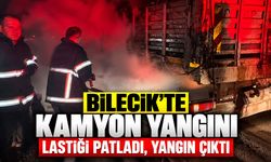 Bilecik'te kamyon yangını