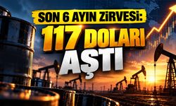 Son 6 ayın zirvesi: 117 doları aştı