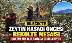 Bilecik’te Zeytin Hasadı Öncesi Rekolte Mesaisi