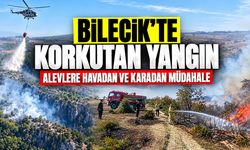 Bilecik'te korkutan yangın: Alevlere Havadan ve Karadan Müdahale