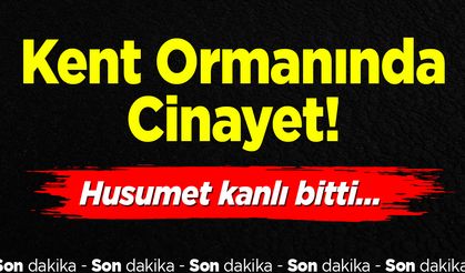 Kent Ormanında Cinayet: Husumet Kanlı Bitti