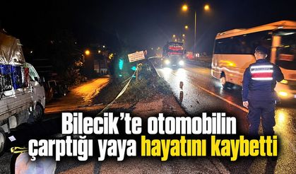 Bilecik’te otomobilin çarptığı yaya hayatını kaybetti