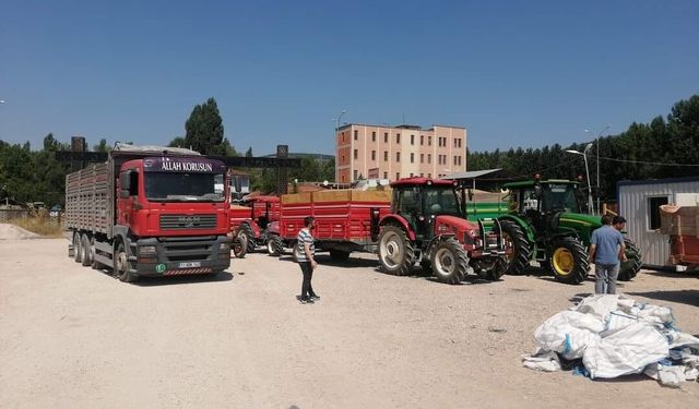 TMO Gölpazarı'nda hububat alımına başladı