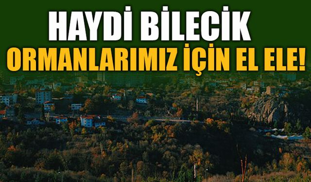 HAYDİ BİLECİK ORMANLARIMIZ İÇİN EL ELE!