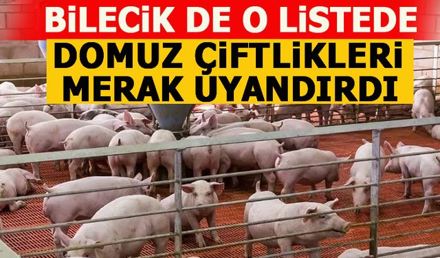 BİLECİK DE O LİSTEDE