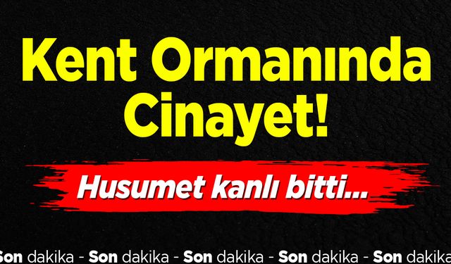 Kent Ormanında Cinayet: Husumet Kanlı Bitti