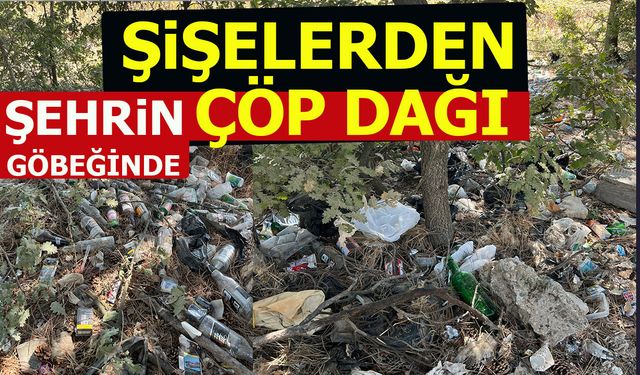 ŞEHRİN GÖBEĞİNDE ŞİŞELERDEN ÇÖP DAĞI