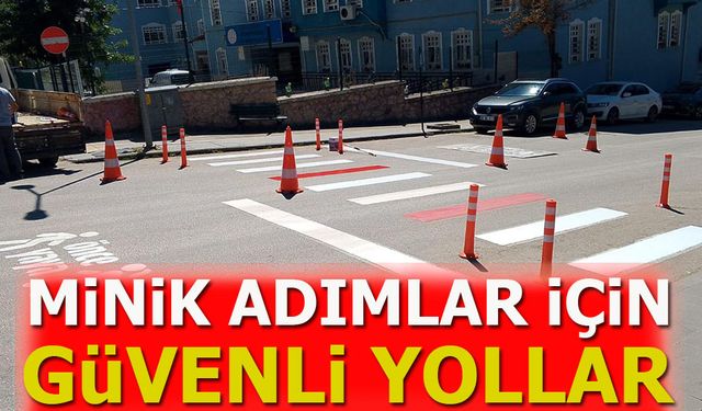 “Minik Adımlar İçin Güvenli Yollar”