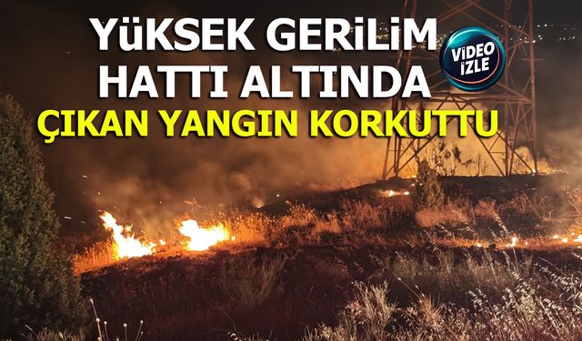 YÜKSEK GERİLİM HATTI ALTINDA ÇIKAN YANGIN KORKUTTU