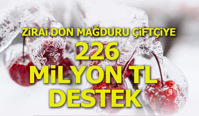 ZİRAİ DON MAĞDURU ÇİFTÇİYE 226 MİLYON TL DESTEK