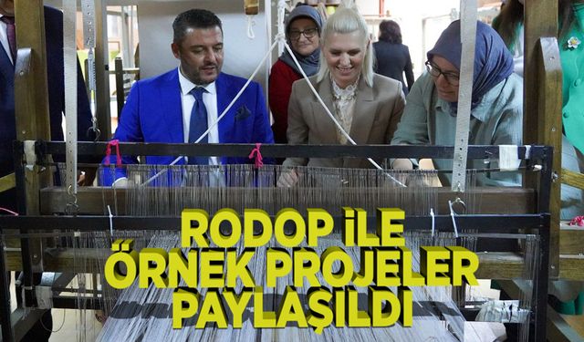 RODOP İLE ÖRNEK PROJELER PAYLAŞILDI