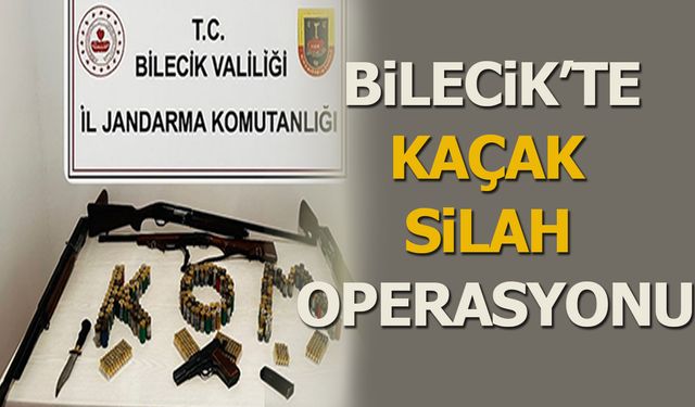 Bilecik'te Kaçak Silah Operasyonu