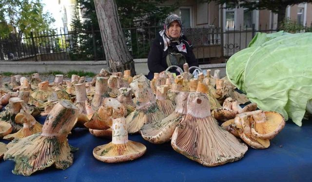 Kütahya’da ’Melki’ bereketi