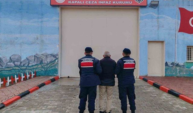 Jandarmanın yakaladığı 11 kişi tutuklandı