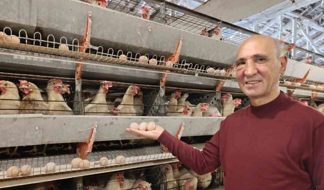 Simav’ın Kuşu beldesinde günlük 15 bin yumurta üretimi