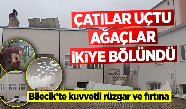 Çatılar uçtu, ağaçlar ikiye bölündü