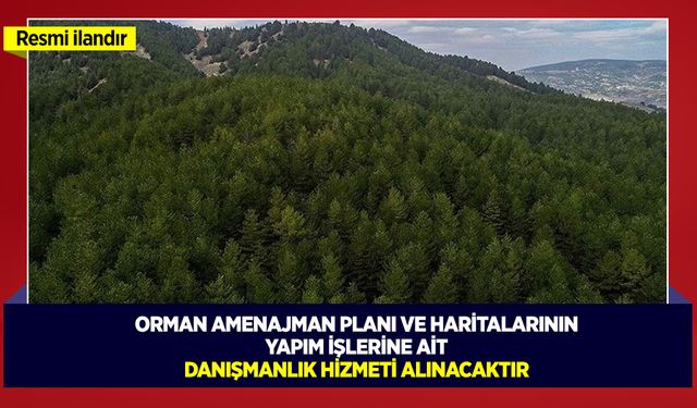 ORMAN AMENAJMAN PLANI VE HARİTALARININ YAPIM İŞLERİNE AİT DANIŞMANLIK HİZMETİ ALINACAKTIR
