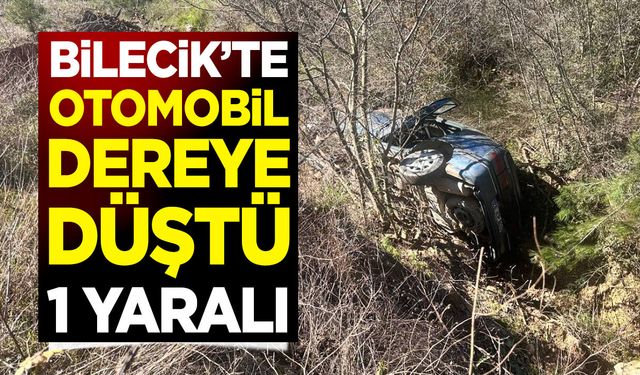 Otomobil Dereye Düştü: 1 Yaralı