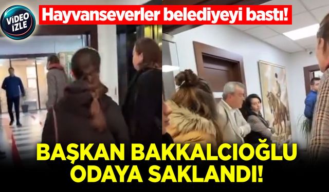 Hayvanseverler belediyeyi bastı: Başkan Bakkalcıoğlu odaya saklandı!