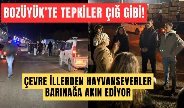 BOZÜYÜK’TE TEPKİLER ÇIĞ GİBİ: ÇEVRE İLLERDEN HAYVANSEVERLER BARINAĞA AKIN EDİYOR!