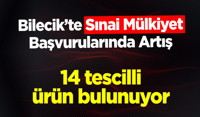 Bilecik’te Sınai Mülkiyet Başvurularında Artış