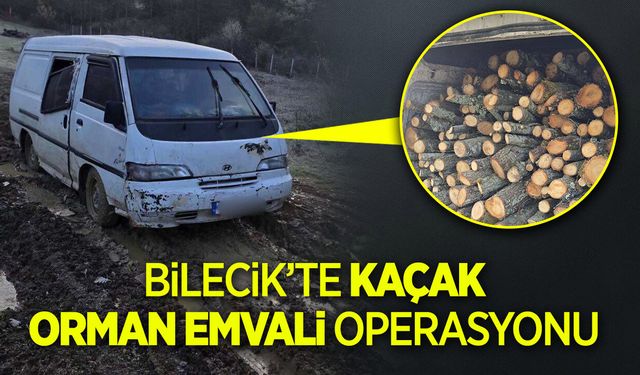 Bilecik'te Kaçak Orman Emvali Operasyonu