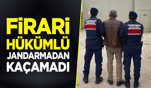 Bilecik'te Firari Hükümlü jandarmadan kaçamadı