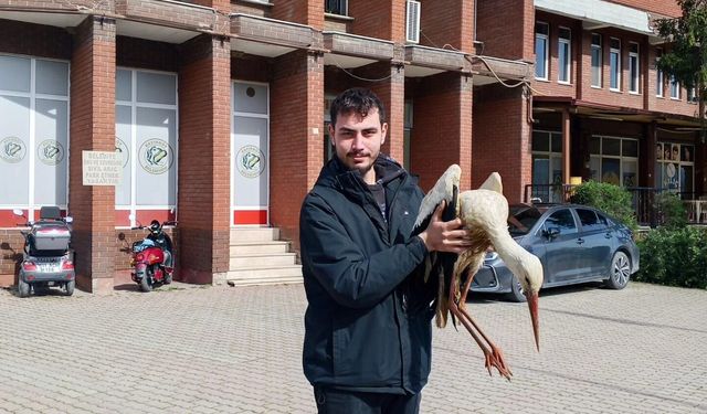 “Göç Yolundaki Leylek Kurtarıldı: Doğaya Dönüş Umudu”