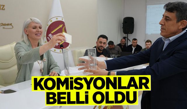 Bilecik Belediye Meclisinde Komisyonlar Belli Oldu