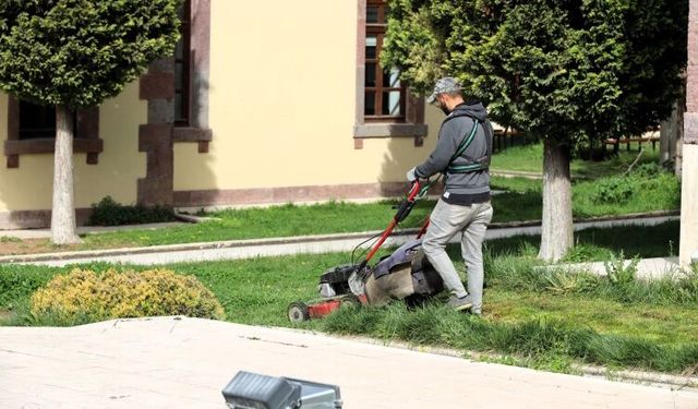 Söğüt’te Çim Biçme Çalışmaları Başladı