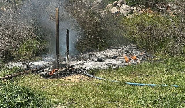 Söğüt’te Ot Yangını Korkuttu