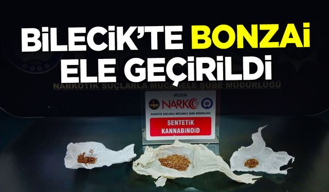 Bilecik'te Bonzai Ele Geçirildi