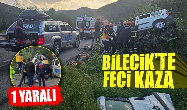 Bilecik’te Kamyonet Takla Attı