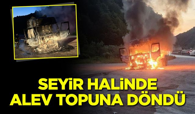 Bilecik'te Seyir Halindeki Çekici Alev Alev Yandı