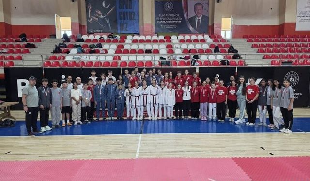 ANALİG Taekwondo İl Seçmeleri Tamamlandı