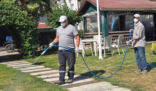 Bayırköy’de İlaçlama Seferberliği