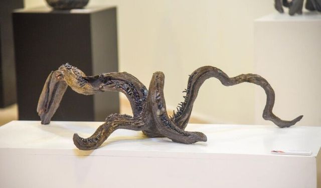Bilecik Şeyh Edebali Üniversitesi’nde Yeni Projeler İçin Akademik Buluşma