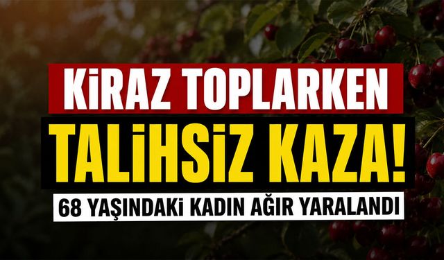 Kiraz Toplarken Talihsiz Kaza!