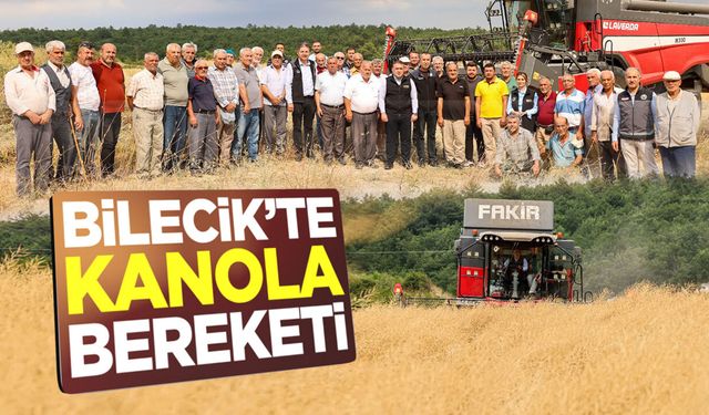 Bilecik'te Kanola Bereketi